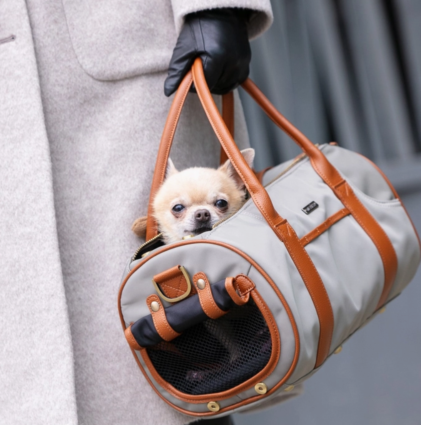 Airline approved Dog Carrier S beige