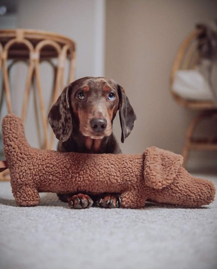 Dachshund Toy