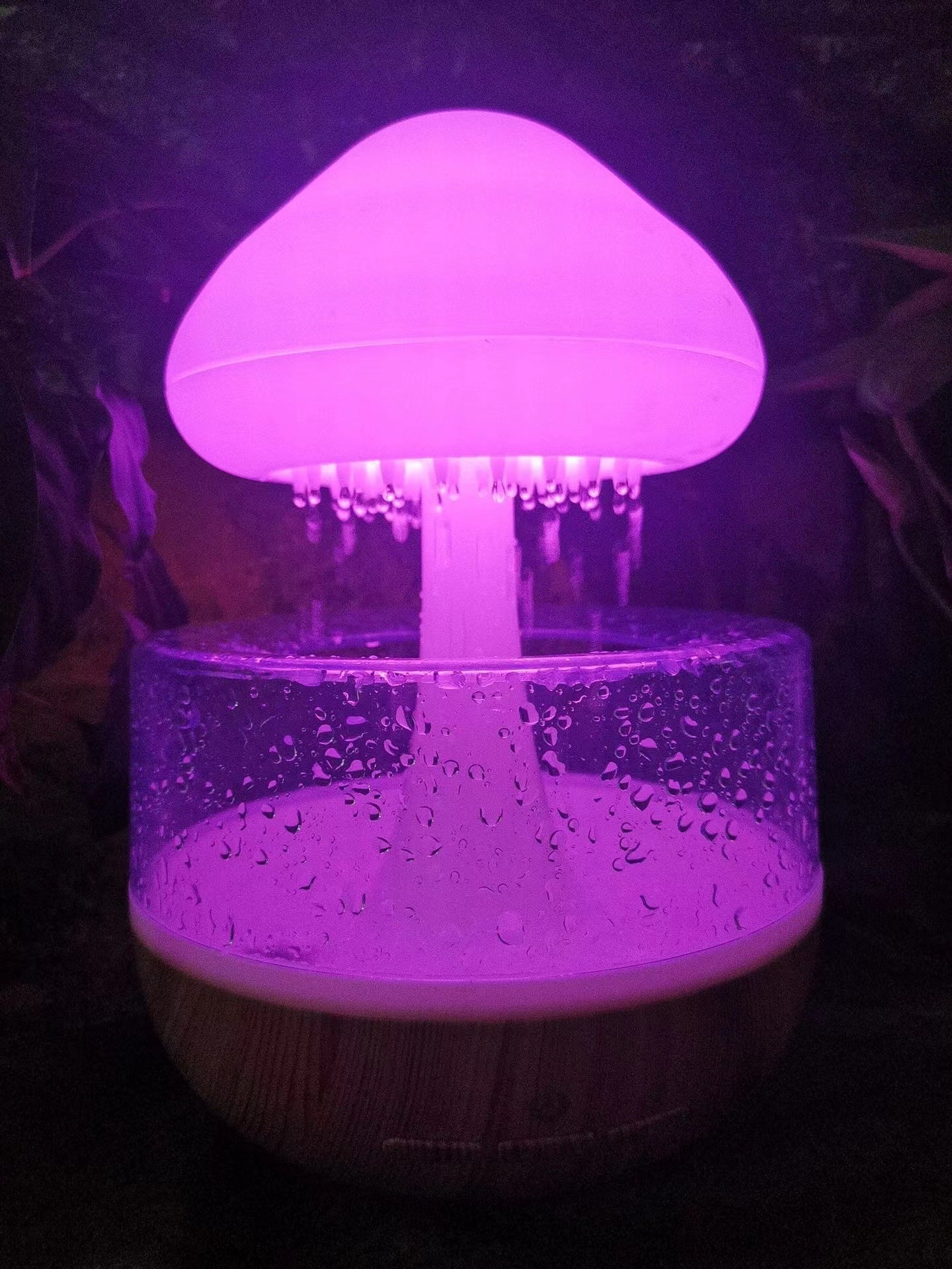 Rain Cloud Aroma Humidifier