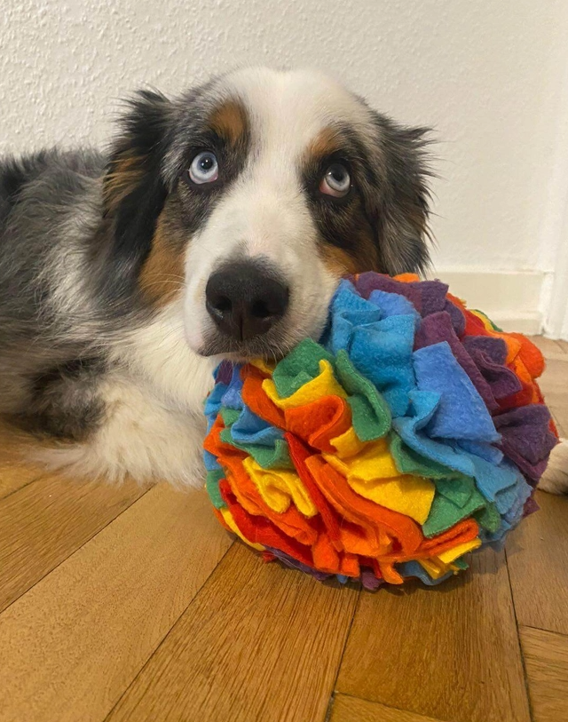 Sniffing Ball